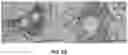Fig. 31 - MINERALIZATION OF CELL-LADEN MATRICES