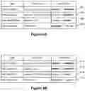 Fig. 07 - Controlled dispensing system and method