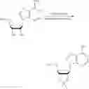 Fig. 131 - Compositions and methods of modulating the immune response by activating alpha protein kinase 1