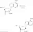 Fig. 197 - Compositions and methods of modulating the immune response by activating alpha protein kinase 1