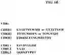 Fig. 03 - TGF-β1 specific antibodies and methods and uses thereof