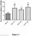 Fig. 02 - METHODS FOR REDUCTION OF PATHOLOGICAL FIBROSIS AND ASSOCIATED DISORDERS AND DISEASES