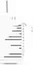 Fig. 02 - ANTIBODIES TO COAGULATION FACTOR XIA AND USES THEREOF