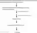 Fig. 01 - TARGETED INTEGRATION OF NUCLEIC ACIDS