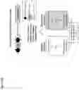 Fig. 11 - TARGETED INTEGRATION OF NUCLEIC ACIDS