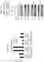 Fig. 17 - TARGETED INTEGRATION OF NUCLEIC ACIDS