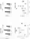Fig. 26 - TARGETED INTEGRATION OF NUCLEIC ACIDS