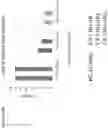 Fig. 38 - TARGETED INTEGRATION OF NUCLEIC ACIDS