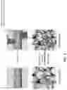 Fig. 02 - Composite, hierarchical electrocatalytic materials for water splitting