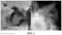 Fig. 02 - Water electrolysis catalyst and manufacturing method thereof