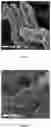 Fig. 02 - Copper-palladium-loaded mesoporous silicon carbide-based catalyst, preparation method and application thereof