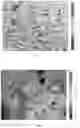 Fig. 02 - Satin copper bath and method of depositing a satin copper layer