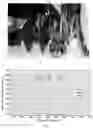 Fig. 04 - Spectrophotometer system and enhanced optical characterization of biological samples using same