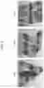 Fig. 08 - Laminated iron core elastic matrix determination method and vibration analysis method
