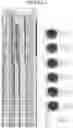 Fig. 02 - Methods and devices correlating well-logs to cuttings lithologies for synthetic core generation