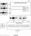 Fig. 08 - System and method for differentially locating and modifying audio sources