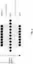 Fig. 07 - ADVANCED TEXT TAGGING USING KEY PHRASE EXTRACTION AND KEY PHRASE GENERATION