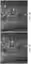 Fig. 08 - Automated plant detection using image data
