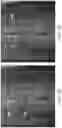 Fig. 09 - Automated plant detection using image data