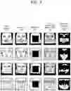 Fig. 08 - Task-based image masking