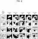 Fig. 09 - Task-based image masking