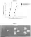 Fig. 03 - SOLDER MATERIAL FOR SEMICONDUCTOR DEVICE