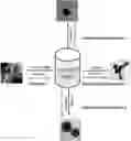 Fig. 01 - Method for preparing nanosponge-structured graphene dot-palladium hybrid, and nanosponge-structured graphene dot-palladium hybrid prepared thereby