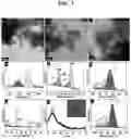 Fig. 04 - Method for preparing nanosponge-structured graphene dot-palladium hybrid, and nanosponge-structured graphene dot-palladium hybrid prepared thereby