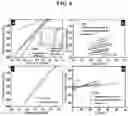 Fig. 07 - Method for preparing nanosponge-structured graphene dot-palladium hybrid, and nanosponge-structured graphene dot-palladium hybrid prepared thereby