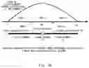 Fig. 29 - Antenna, wireless communication device, and antenna forming method