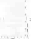 Fig. 87 - Wafer biasing in a plasma chamber
