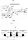 Fig. 06 - Multi-cell processing architectures for modelling and impairment compensation in multi-input multi-output systems