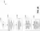 Fig. 27 - System and method for dynamic dual transmit diversity switching for a multi-radio-access-technology device