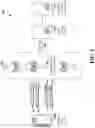 Fig. 02 - Beam failure handling
