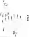 Fig. 06 - Beam failure handling