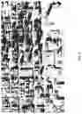 Fig. 07 - Localization by using skyline data