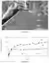 Fig. 06 - Highly loaded metal oxide materials by self-assembly for extended biologically active molecule release in medical and dental applications
