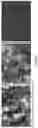 Fig. 07 - Highly loaded metal oxide materials by self-assembly for extended biologically active molecule release in medical and dental applications