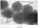 Fig. 16 - Highly loaded metal oxide materials by self-assembly for extended biologically active molecule release in medical and dental applications