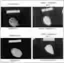 Fig. 01 - FOAMING MIXED ALCOHOL/WATER COMPOSITIONS COMPRISING A STRUCTURED ALKOXYLATED SILOXANE