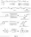 Fig. 05 - SULFUR (VI) FLUORIDE COMPOUNDS AND METHODS FOR THE PREPARATION THEREOF