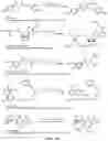 Fig. 24 - SULFUR (VI) FLUORIDE COMPOUNDS AND METHODS FOR THE PREPARATION THEREOF