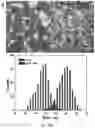 Fig. 09 - COATED UP-CONVERSION NANOPARTICLES