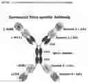 Fig. 03 - GUIDANCE AND NAVIGATION CONTROL PROTEINS AND METHOD OF MAKING AND USING THEREOF