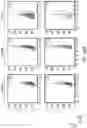 Fig. 197 - Constructs for chimeric antigen receptors