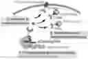 Fig. 01 - SYSTEMS AND METHODS FOR POLYNUCLEOTIDE SPATIAL ORGANIZATION