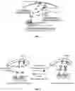 Fig. 02 - SYSTEMS AND METHODS FOR POLYNUCLEOTIDE SPATIAL ORGANIZATION