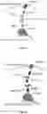 Fig. 03 - SYSTEMS AND METHODS FOR POLYNUCLEOTIDE SPATIAL ORGANIZATION