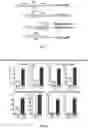 Fig. 05 - SYSTEMS AND METHODS FOR POLYNUCLEOTIDE SPATIAL ORGANIZATION
