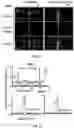 Fig. 07 - SYSTEMS AND METHODS FOR POLYNUCLEOTIDE SPATIAL ORGANIZATION